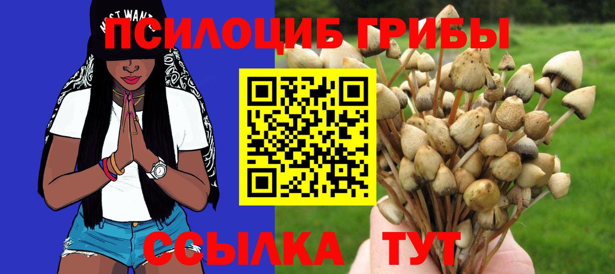 Псилоцибиновые грибы мицелий Саров